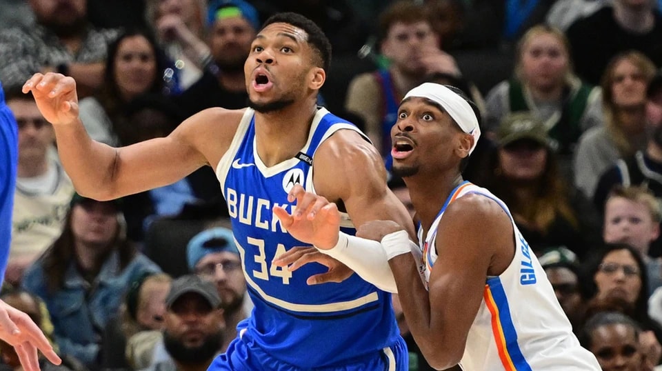 msn, 是带着自信