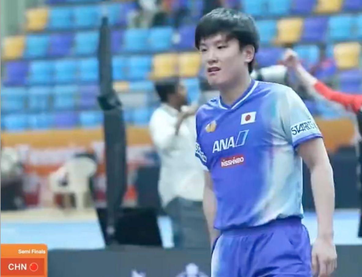 和起势, 王楚钦并没, 放弃